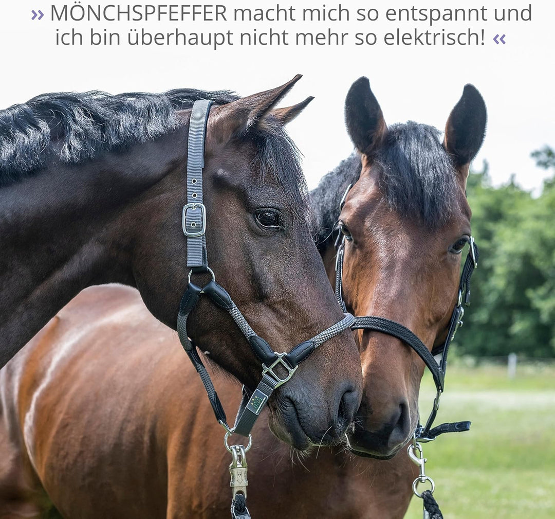 STRÖH Mönchspfeffer für Pferde (1l flüssig in Dosierflasche) • Für stabilen Hormonhaushalt beim Pfer
