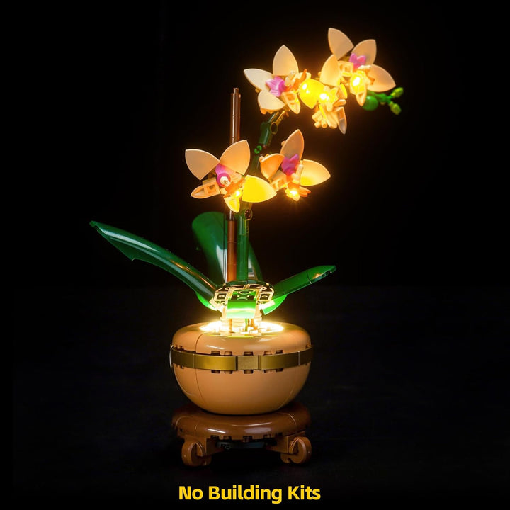 Led Licht Set Kompatibel mit Lego 10343 Mini Orchid Botanical Collection Set (Kein Modell), Dekorati