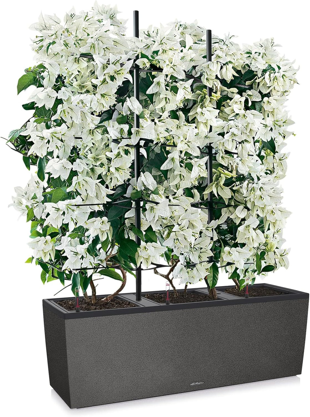 LECHUZA TRIO Stone 40 graphitschwarz 15056 129.5x42x44 cm Graphitschwarz, 129.5x42x44 cm Graphitschw