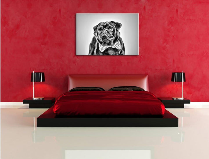 Pixxprint Lustiger Mops mit Fliege als Leinwandbild/Grösse: 100x70 / Wandbild/Kunstdruck/fertig besp