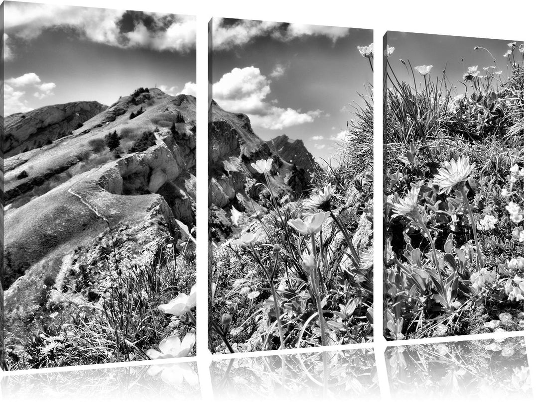 Pixxprint Blumenwiese im Frühling als Leinwandbild/Grösse: 3 Teilig (120x80) / Wandbild/Kunstdruck/f