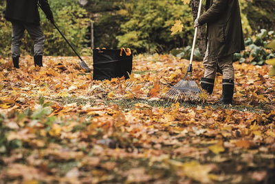 Fiskars Grosser PopUp-Gartensack mit Griffen, Platzsparend faltbar, Fassungsvermögen: 219 L, Höhe: 7