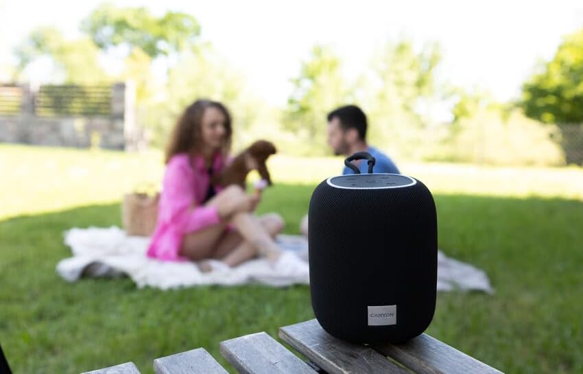 Canyon Bluetooth Speaker BSP-8 schwarz