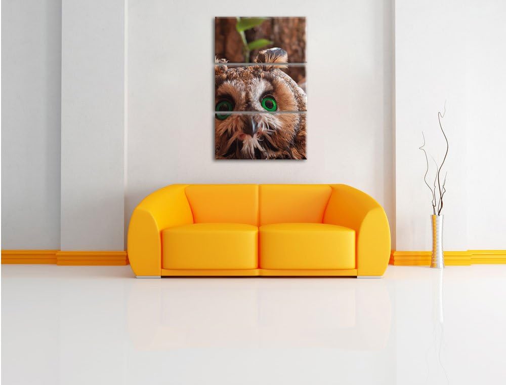 Pixxprint Kleine Eule grüne Augen als Leinwandbild/Grösse: 3 Teilig (120x80) cm/Wandbild/Kunstdruck/