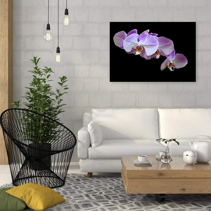 Feeby Bild auf Leinwand Blumen Kunstdruck modern Orchidee Violett 80x60 cm Leinwandbild 80x60 cm Vio