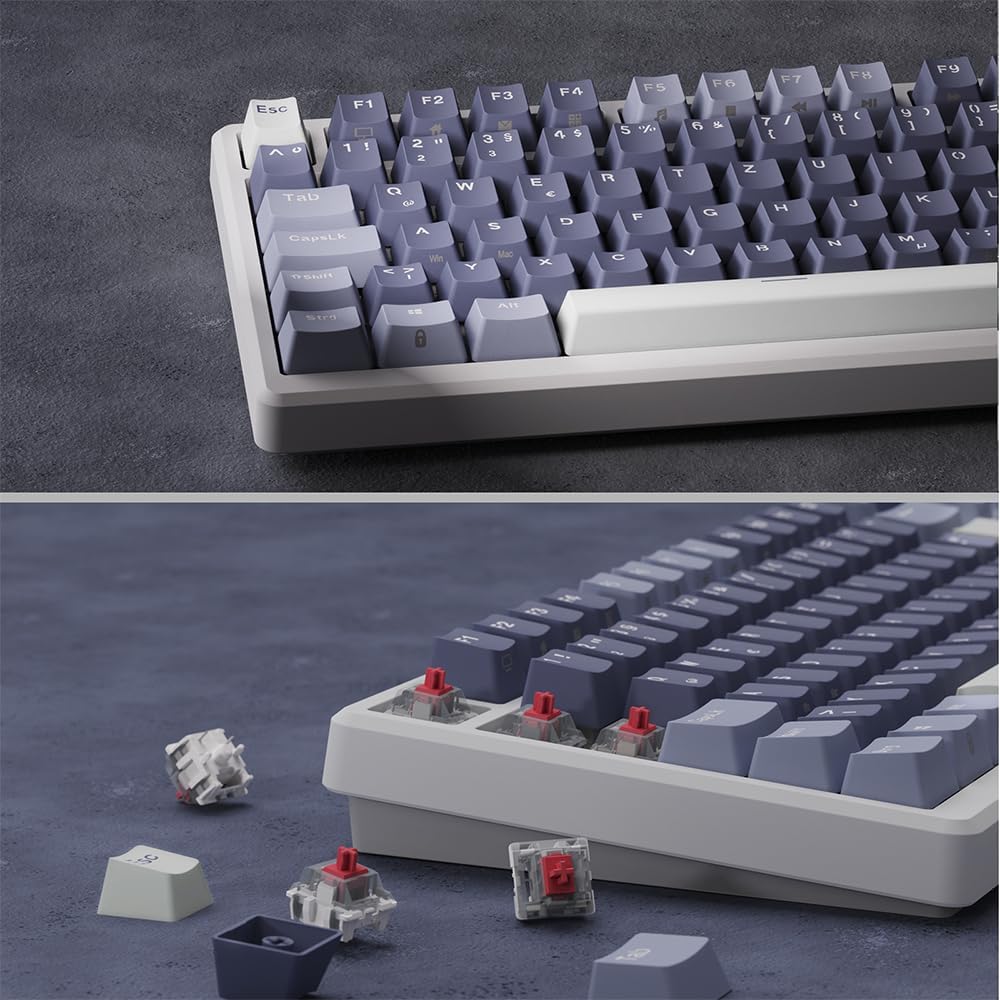 RK ROYAL KLUDGE M75 Gaming Tastatur kabellos 75% TKL Mechanische Tastatur RGB 2,4 GHz Wireless/Bluet