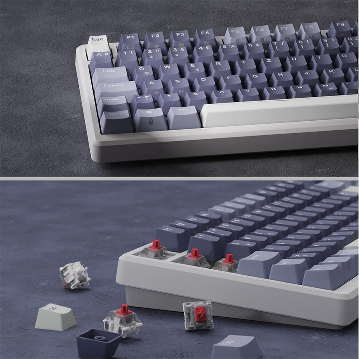RK ROYAL KLUDGE M75 Gaming Tastatur kabellos 75% TKL Mechanische Tastatur RGB 2,4 GHz Wireless/Bluet