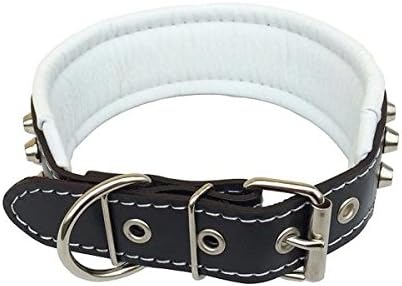 Bestia™ "Rocky Echtleder Hundehalsband mit Stumpfnieten. 100% Leder. Weich gepolstert. TOP Qualität!