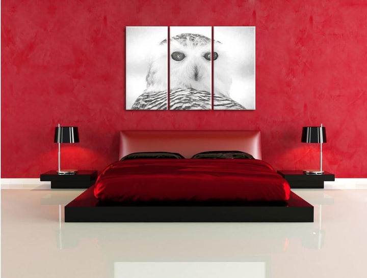 Pixxprint Schnee-Eule als Leinwandbild/Grösse: 3 Teilig (120x80) cm/Wandbild/Kunstdruck/fertig bespa