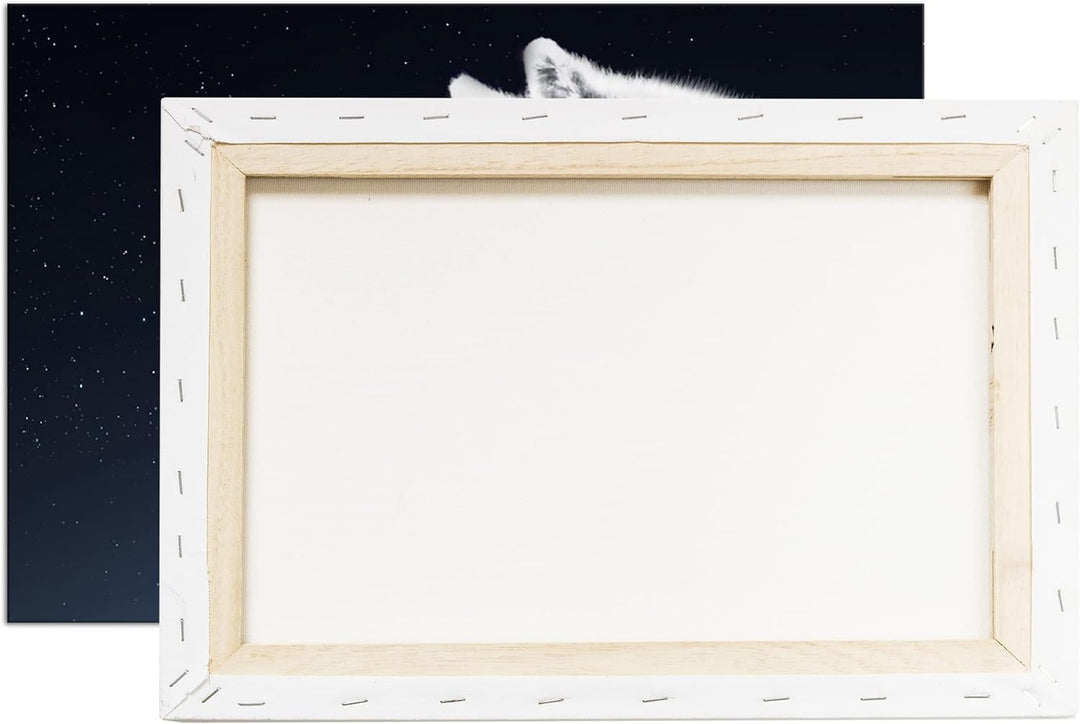 deyoli einsamer stolzer Wolf Format: 100x70 als Leinwandbild, Motiv fertig gerahmt auf Echtholzrahme