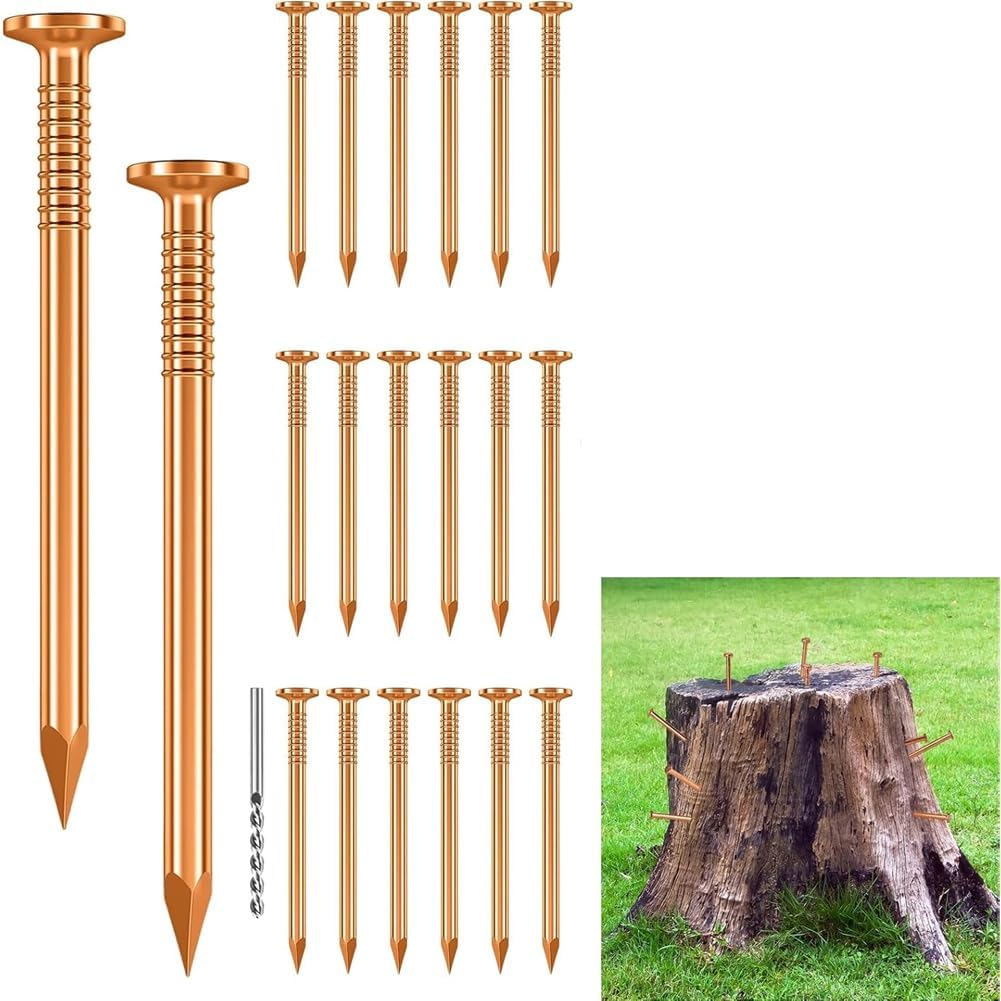 20 Stück Kupfernägel zum Abtöten Von Bäumen, Hardware-Nägel für Bäume mit 1 Bohrnagel.