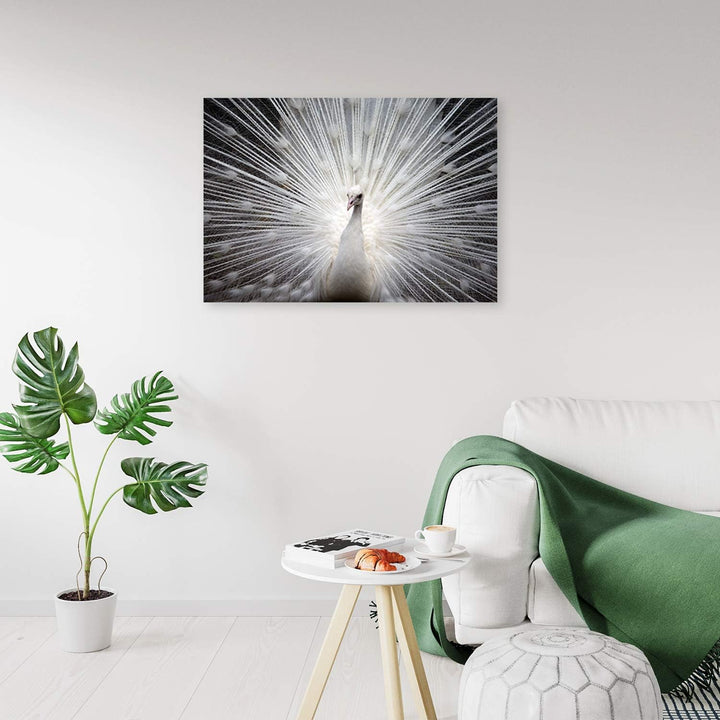 Leinwandbild XXL Tier Wandbild Kunst Vogel Weiss 120x80 cm M14235 120x80 cm, M14235 120x80 cm