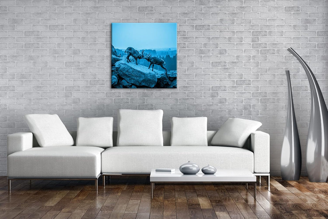 deyoli Zwei kämpfende Steinböcke Format: 70x70 Effekt: Monocrome Blau als Leinwand, Motiv fertig ger