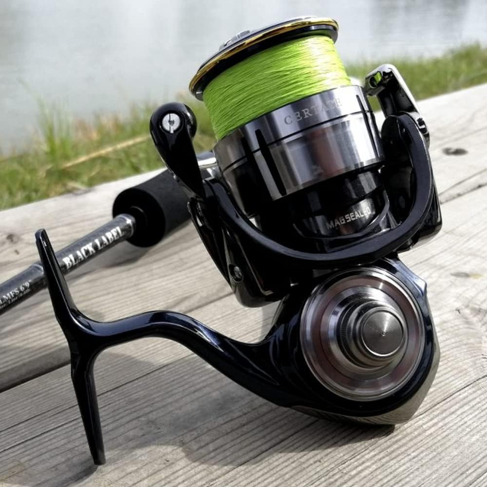 Daiwa Rolle Certate LT 19 Certate LT 19 2500D - 19CERGLT2500D Silber Schwarz 2500, Silber Schwarz 25