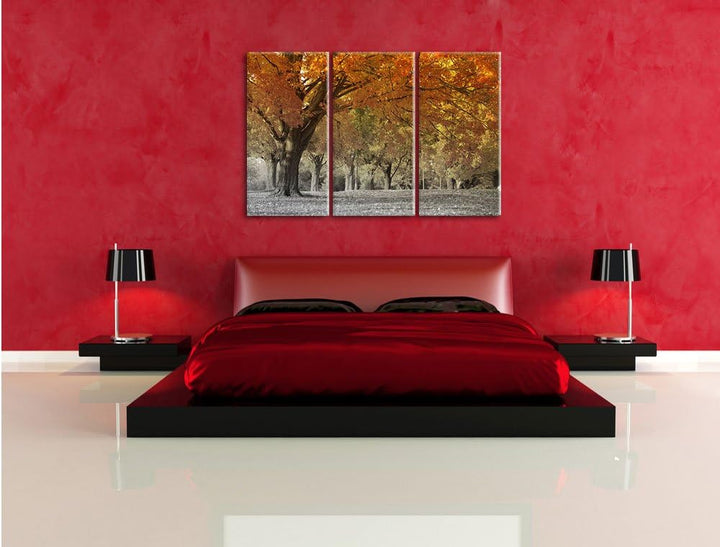 Pixxprint schöne Herbstlandschaft als Leinwandbild/Grösse: 3 Teilig (120x80 cm) cm/Wandbild/Kunstdru