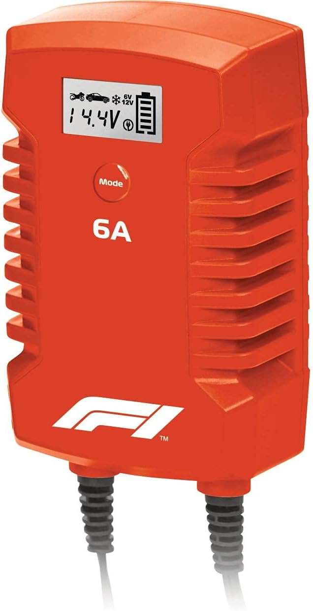 Formula 10794 1 Mikroprozessor Batterie Ladegerät 6 Ampere für 44359 V, 7-stufig,,Power-Supply, Auto