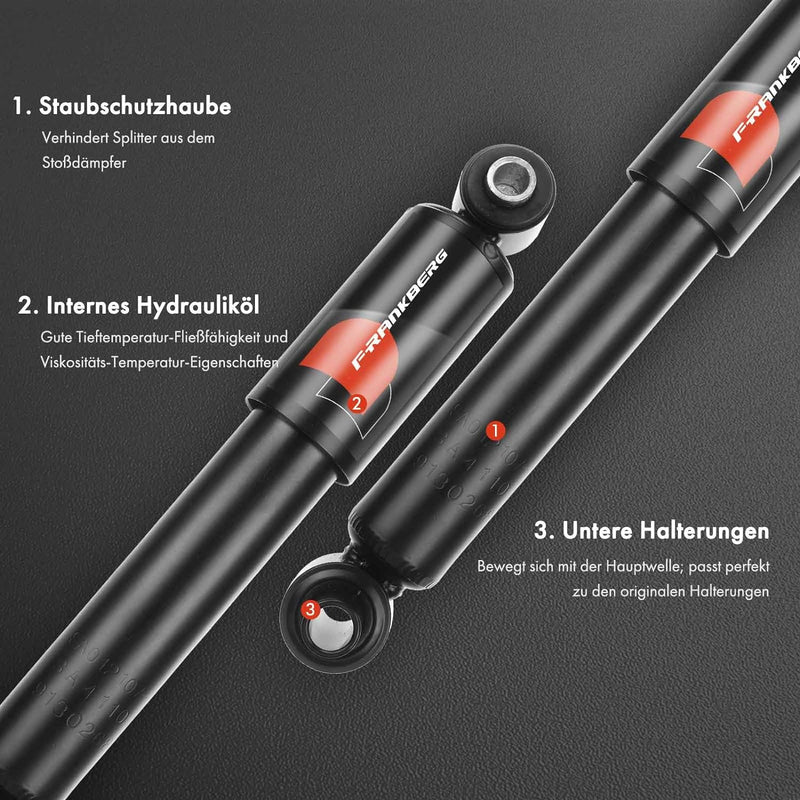 Frankberg 2x Stossdämpfer Gasdruck Hinterachse Kompatibel mit AX ZA- 1986-1998 Saxo S0 S1 1996-2003