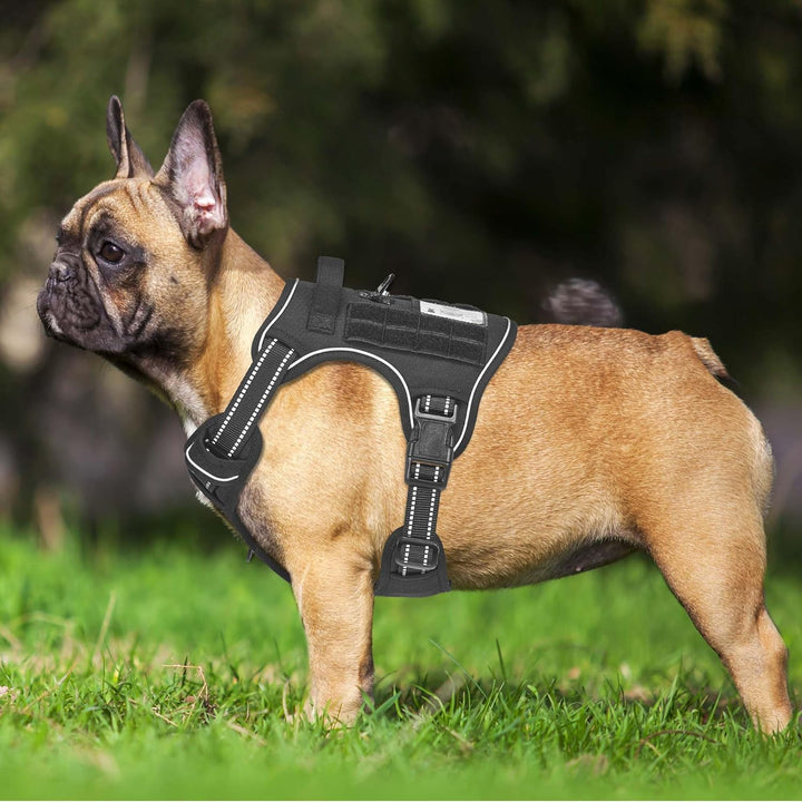 Haapaw Heavy Duty Taktisches Hundegeschirr für mittelgrosse Hunde, kein Zug Verstellbares Haustierge