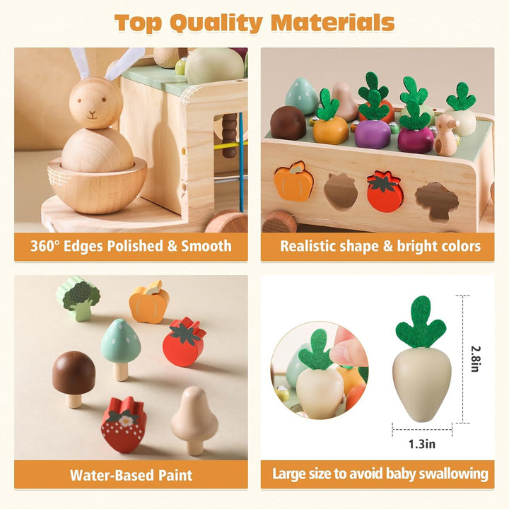 WOODEN TEETHER Montessori Holzspielzeug ab 1 2 3 Jahr, Steckspiel Sortierspiel Holzpuzzle Karottener