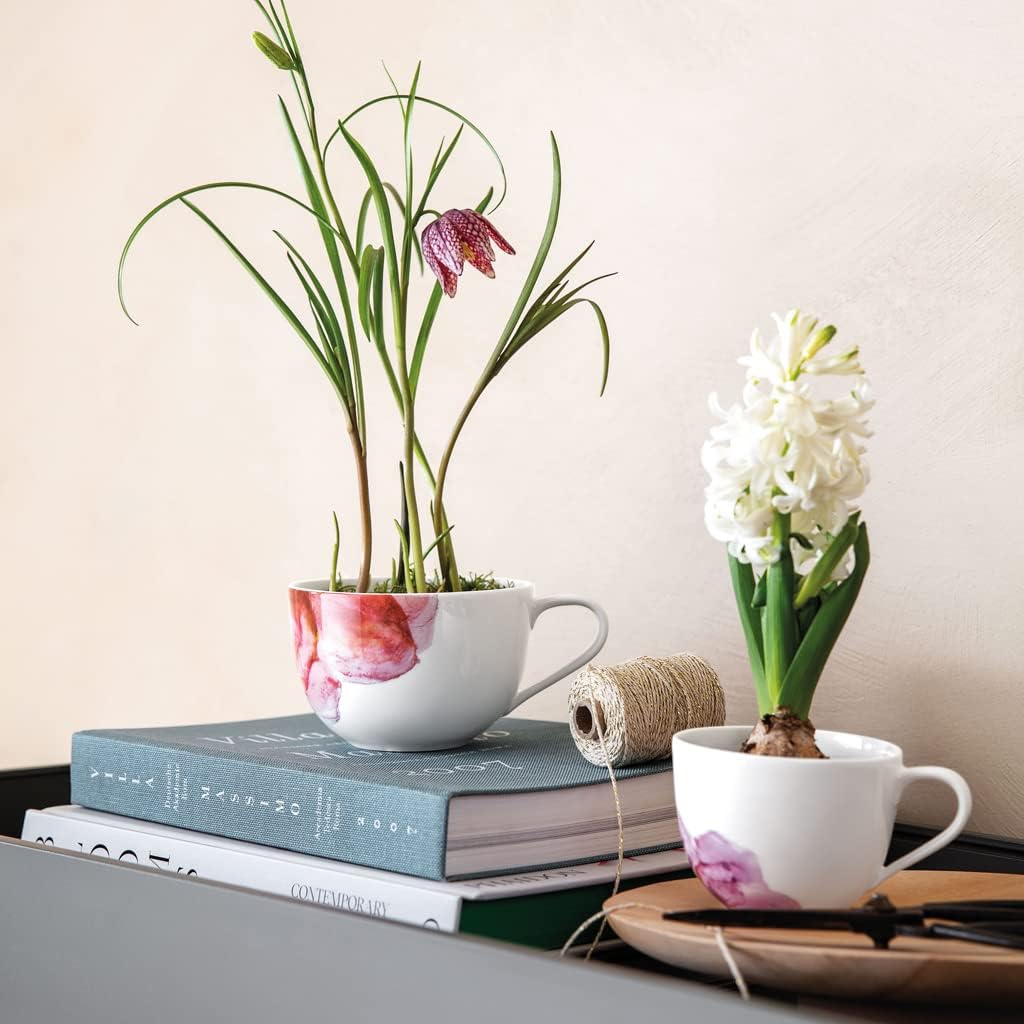 Villeroy &amp; Boch - Rose Garden Kaffeetasse, 160ml, Premium Porzellan, weiss/rosa Floral 11,5X8,5X6,5C