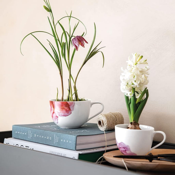 Villeroy &amp; Boch - Rose Garden Kaffeetasse, 160ml, Premium Porzellan, weiss/rosa Floral 11,5X8,5X6,5C