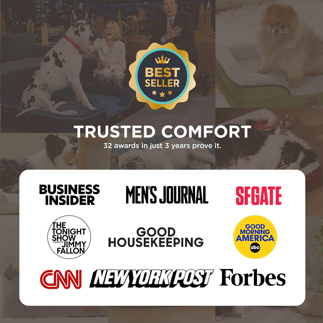 Bedsure orthopädisches Hundebett Ergonomisches Hundesofa - 71x58 cm Hundecouch mit eierförmiger Kist