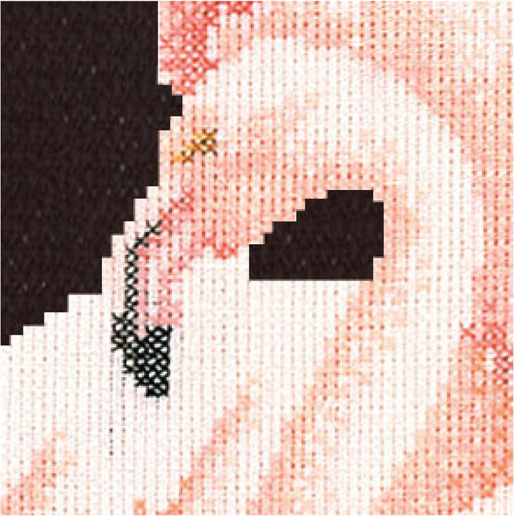 Thea Gouverneur - Kreuzstich-Set - Flamingo - Aida Schwarz - 18 Count - Für Erwachsene - 1070.05 107