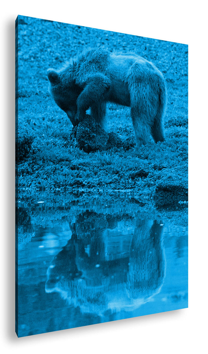 deyoli Verspielter brauner Bär Format 100x70 Effekt: Monocrome Blau als Leinwandbild, Motiv fertig g