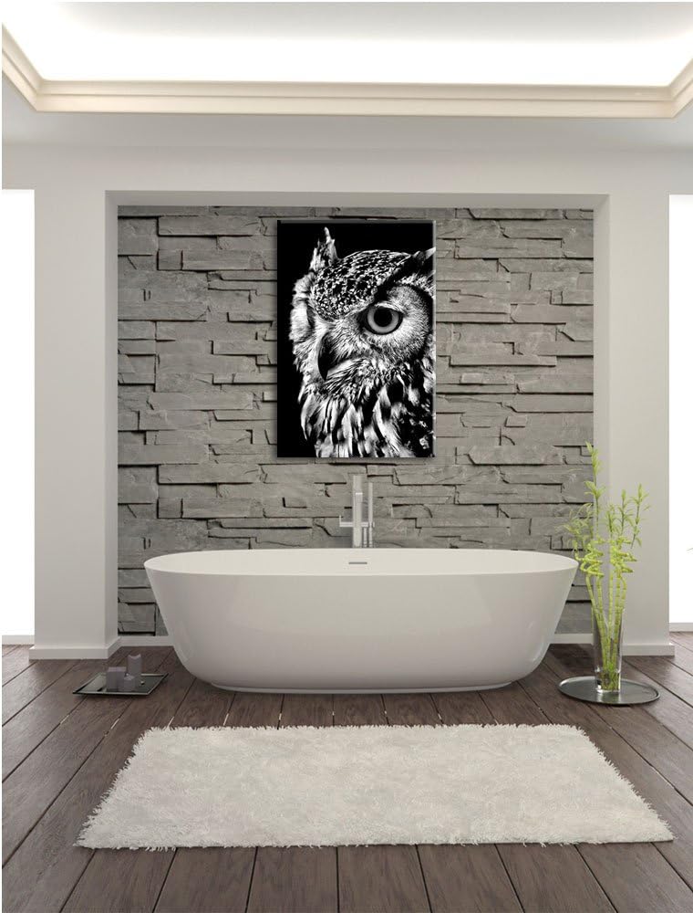 Pixxprint Dark Eule mit orangen Augen als Leinwandbild/Grösse: 100x70 cm/Wandbild/Kunstdruck/fertig