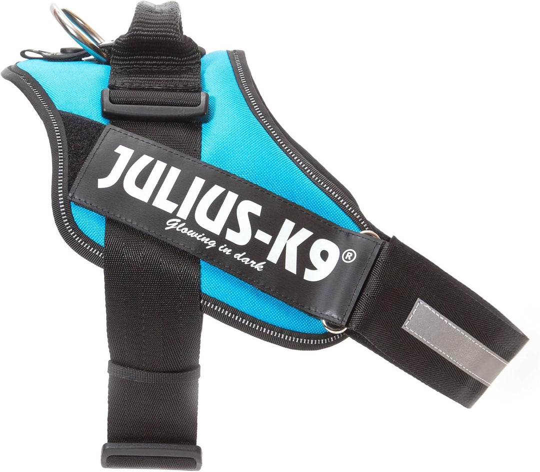 JULIUS K-9 IDC Powerharness für Hunde mit zwei kostenlosen individuellen Patches, Aquamarin, Grösse