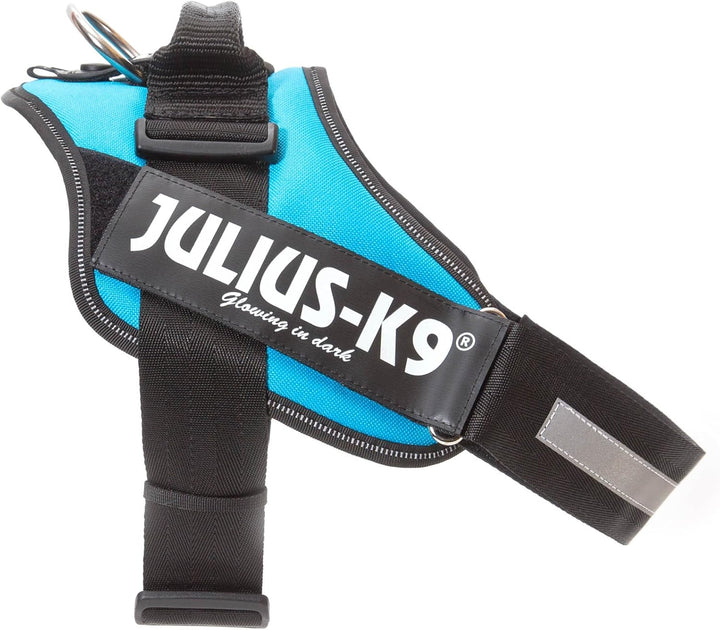 JULIUS K-9 IDC Powerharness für Hunde mit zwei kostenlosen individuellen Patches, Aquamarin, Grösse