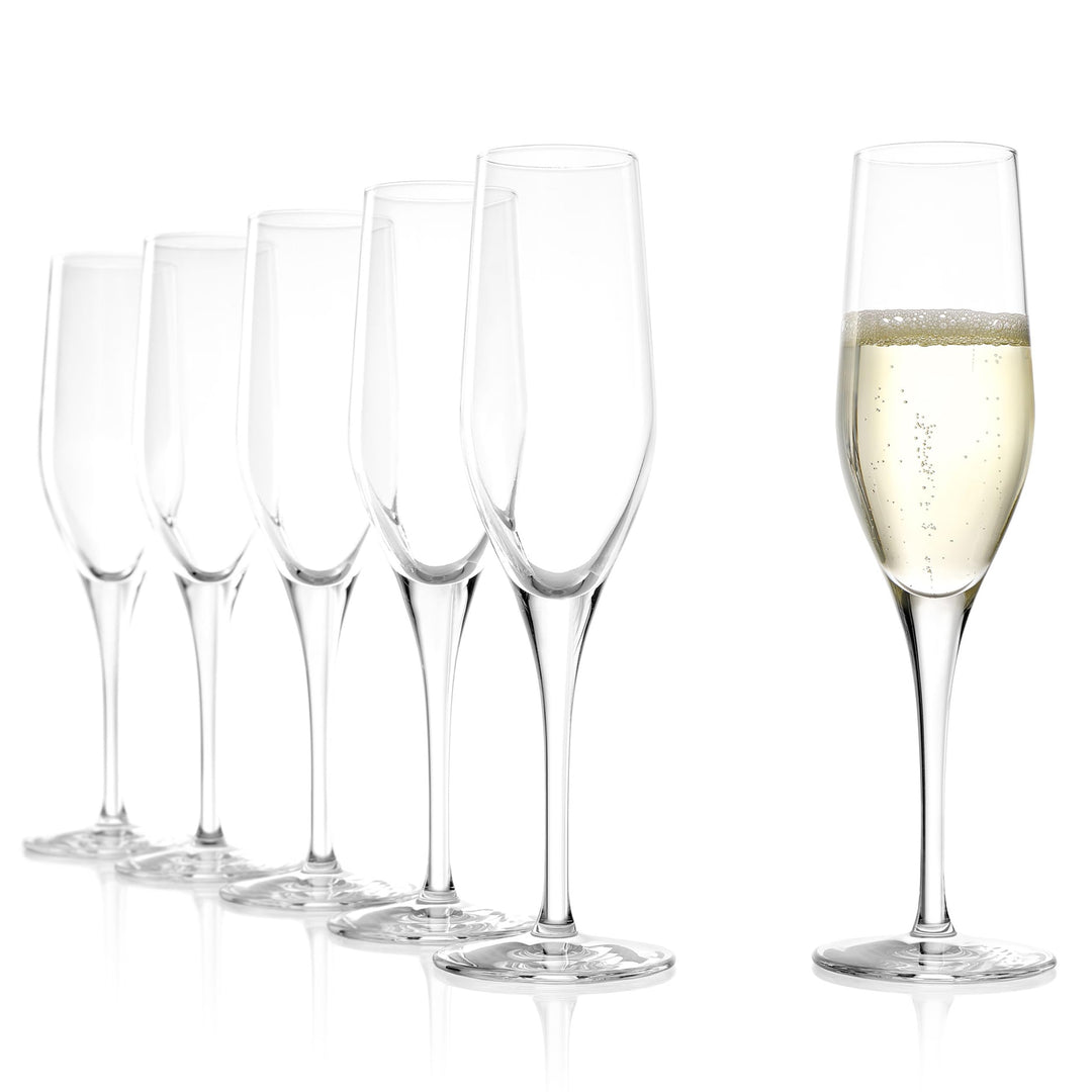 Stölzle Lausitz Exquisit Sektkelche 175ml I Edle Champagnergläser 6er Set I Schaumweingläser 6 Stück
