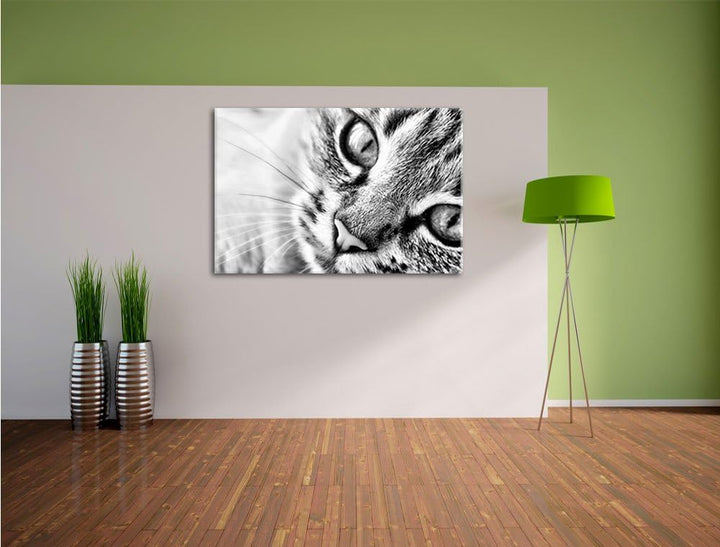 Pixxprint Grosse Katzenaugen / 100x70cm Leinwandbild bespannt auf Holzrahmen/Wandbild Kunstdruck Dek