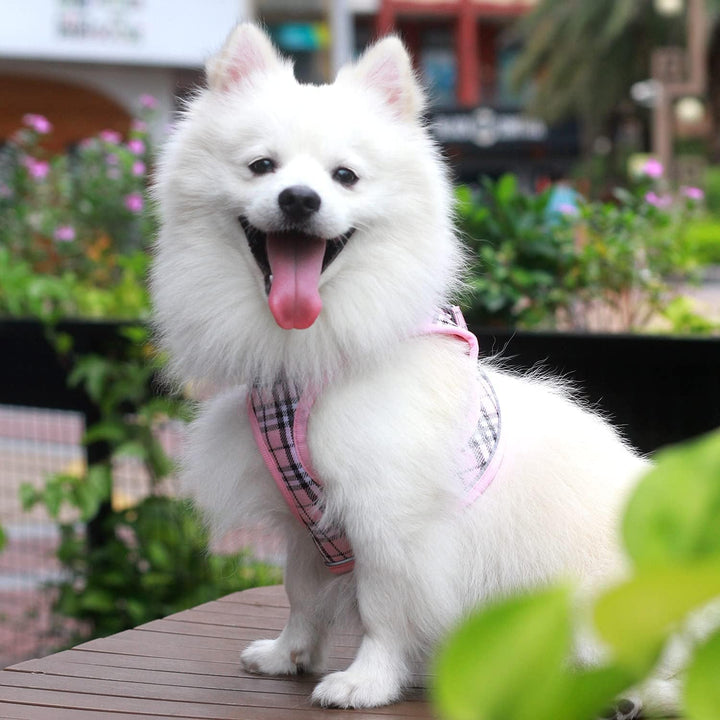 Suredoo Hundegeschirr Kleine Hunde mit Leine, Anti Zug Geschirr Reflektierend Atmungsaktiv Brustgesc