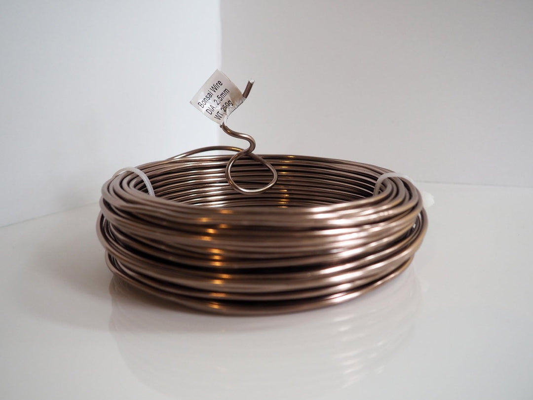 Grow A Bonsai Tree Eloxiertes Aluminium 2,5mm Bonsai Draht 250g grosse Rolle (60 Feet) - (2,5mm, Bra