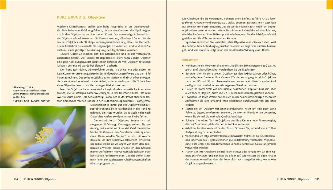 Die grosse Fotoschule: Das Handbuch zur digitalen Fotografie (neue Auflage 2023), Gebundenes Buch