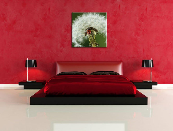 Marienkäfer auf Pusteblume, Format: 70x70 auf Leinwand, XXL riesige Bilder fertig gerahmt mit Keilra