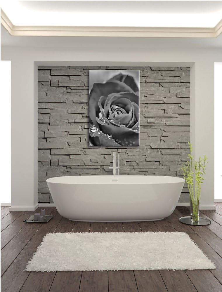 Monocrome, Prächtige rote Rose mit Wassertropfen, Format: 100x70 auf Leinwand, XXL riesige Bilder fe