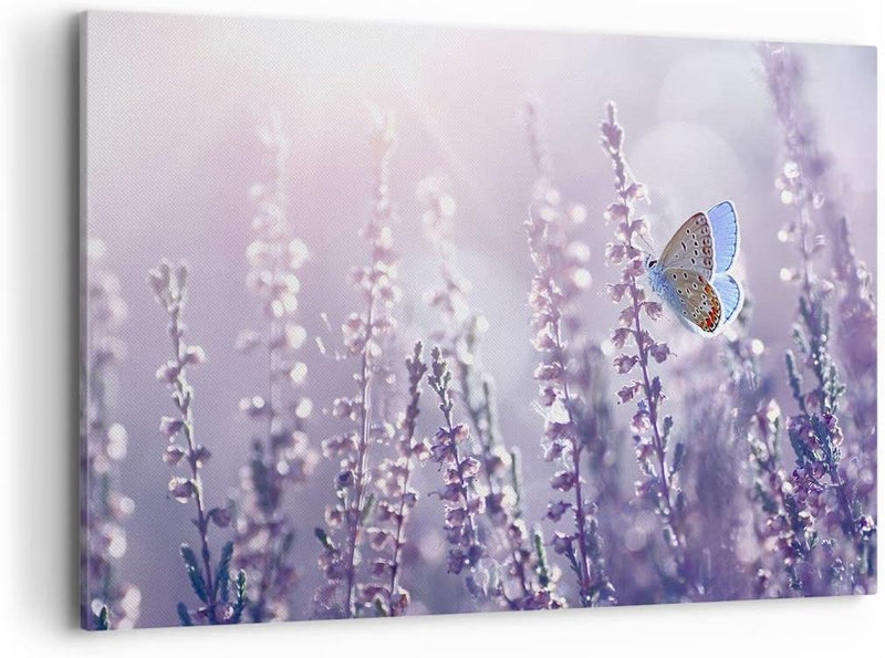 Bilder auf Leinwand 100x70cm Leinwandbild Schmetterling Wiese Blume Gross Wanddeko Bild Schlafzimmer