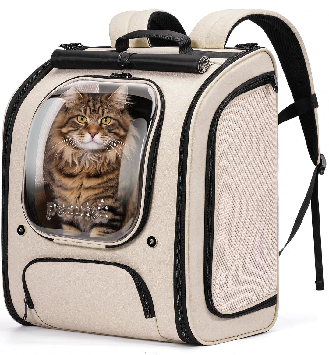 pecute Katzenrucksack Bubble Haustier Rucksack mit Netzfenster, Tragbare und Faltbare Katzentasche,