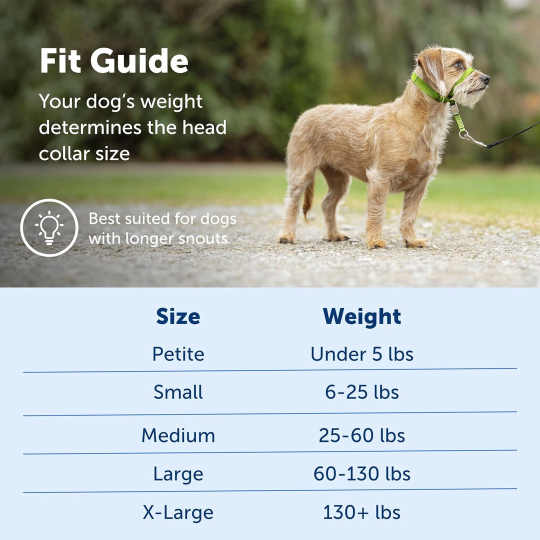 PetSafe Sanfter Führer Halsband mit Trainings-DVD Himbeerrosa Small Up to 25 Lb., Himbeerrosa Small