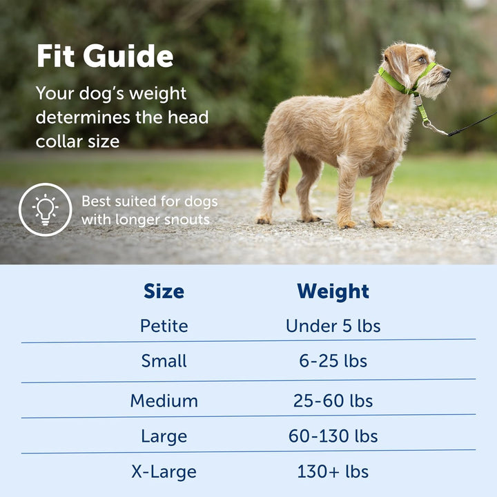 PetSafe Sanfter Führer Halsband mit Trainings-DVD Himbeerrosa Small Up to 25 Lb., Himbeerrosa Small