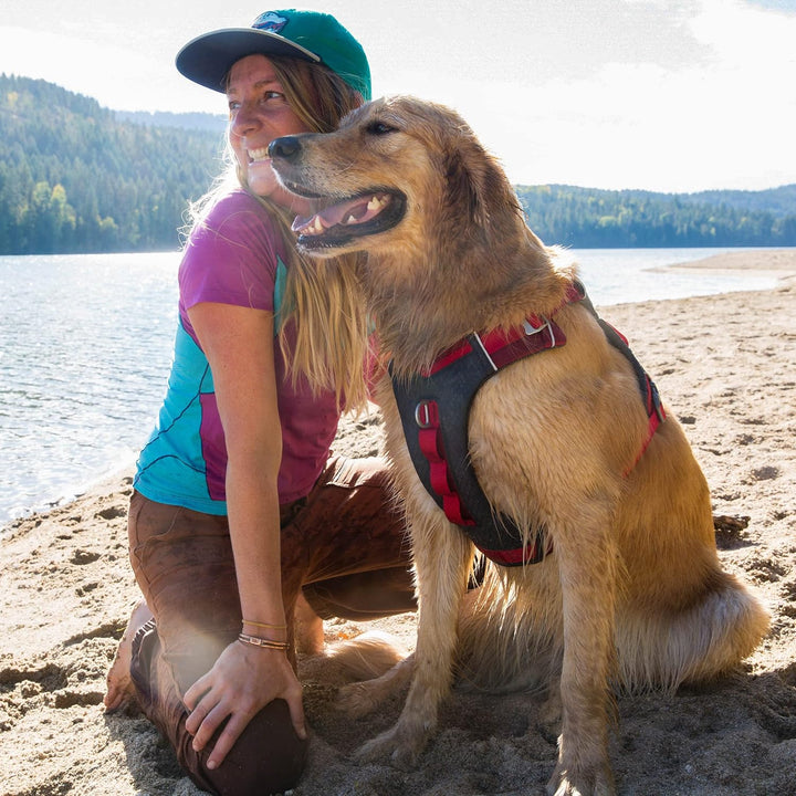 Kurgo Journey Air Hundegeschirr, Mit gepolstertem Brustteil und Rückgriff, Für Hunde von 2-5 kg, Grö