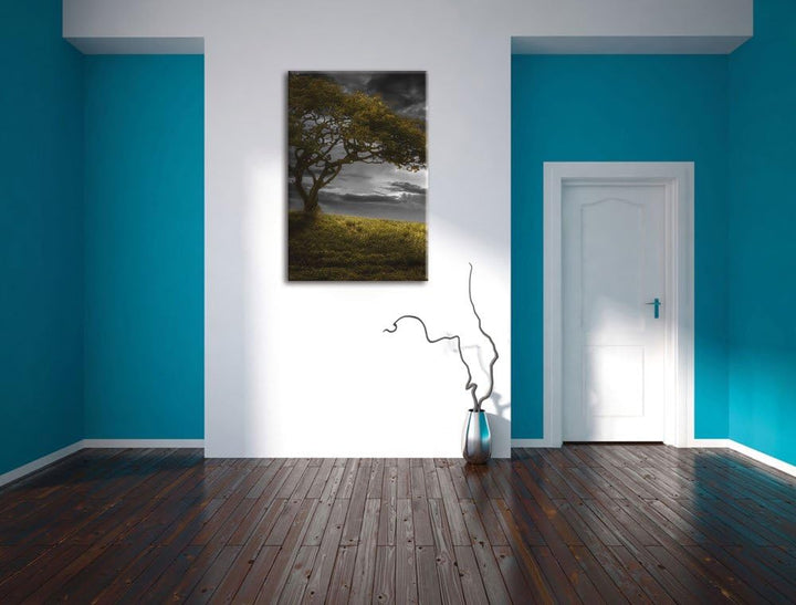 Pixxprint Alleinstehender Baum schwarz/weiss als Leinwandbild/Grösse: 100x70 cm/Wandbild/Kunstdruck/