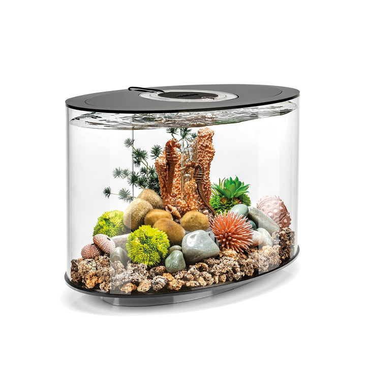 biOrb LOOP 15 LED Aquarium, 15 Liter - Aquarien Komplett-Set mit patentiertem Filter-System, Acryl-B