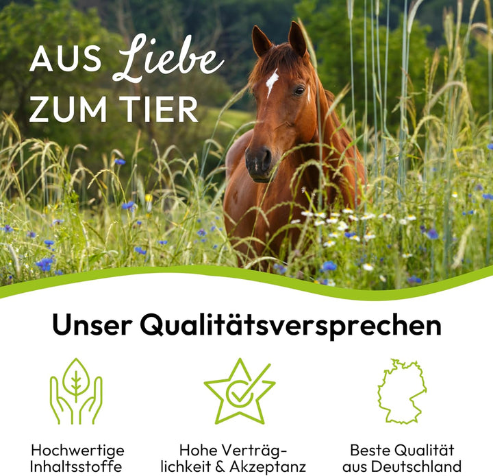 PHA Basis MineralPlus Liquid für Pferde - Multi Vitamine und Mineralstoffe für den täglichen Nährsto