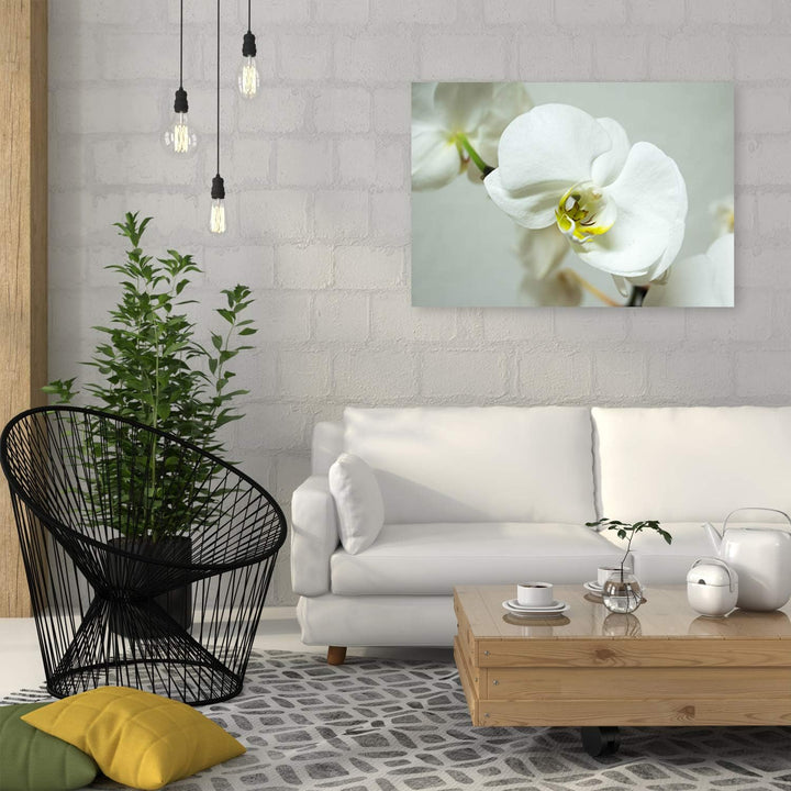 Feeby Leinwandbild Orchidee Bild Kunstdruck Pflanze Weiss 70x50 cm Leinwandbild 70x50 cm Weiss_b, Le