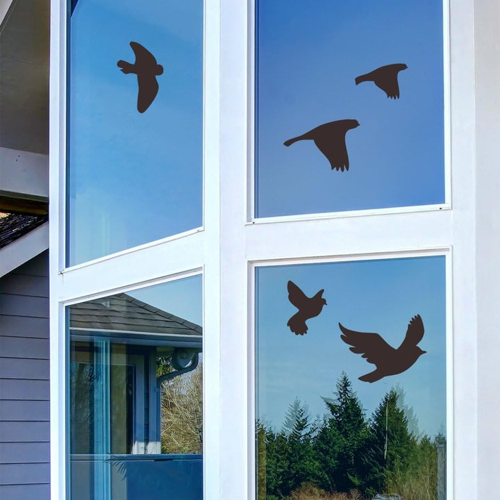 Decooo.be 22 Fenster-Warnvögel - Verhindert Vogelschlag - Set komplett mit Spray und Rakel - Selbstk