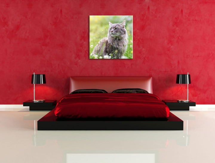 Katze in der Wildnis, Format: 70x70 auf Leinwand, XXL riesige Bilder fertig gerahmt mit Keilrahmen,