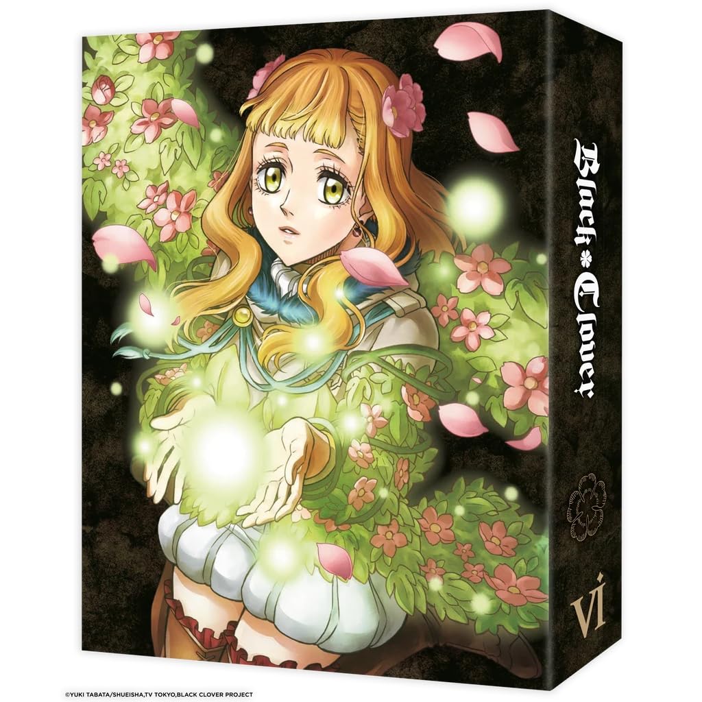 Black clover - saison 3 - partie 2/2 [FR Import]